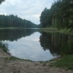 Льговский пруд, Хотынецкий район