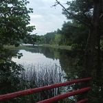Льговский пруд, Хотынецкий район