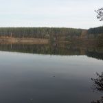 Зеленый шум (Средний Мезенский пруд), Орловский район