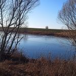 Жидкое (пруд на руч.Чеховский), Знаменский район